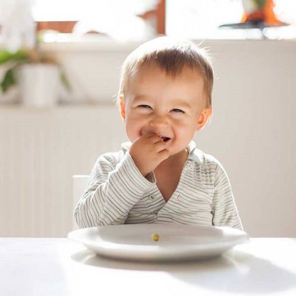 Thực đơn cho bé ăn dặm kiểu blw đầy đủ dưỡng chất