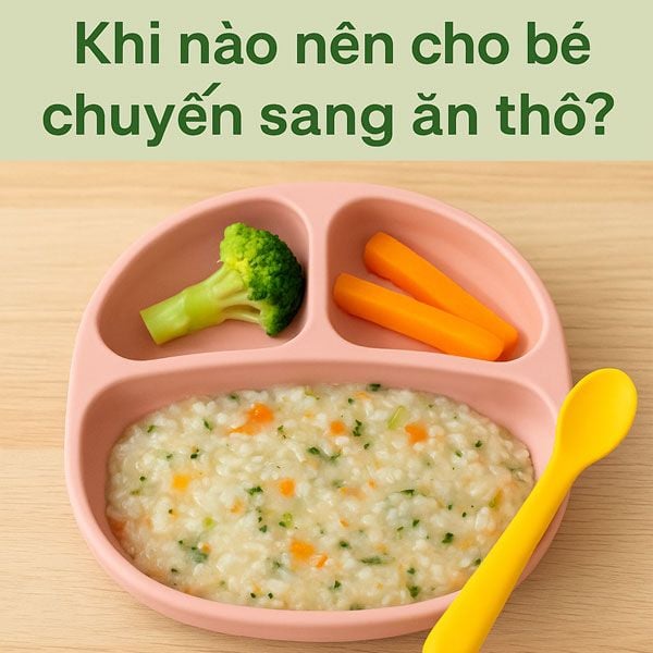 Cách Giúp Bé Chuyển Từ Ăn Dặm Sang Ăn Thô, Mẹ Không Căng Thẳng, Bé Ăn Ngon Miệng
