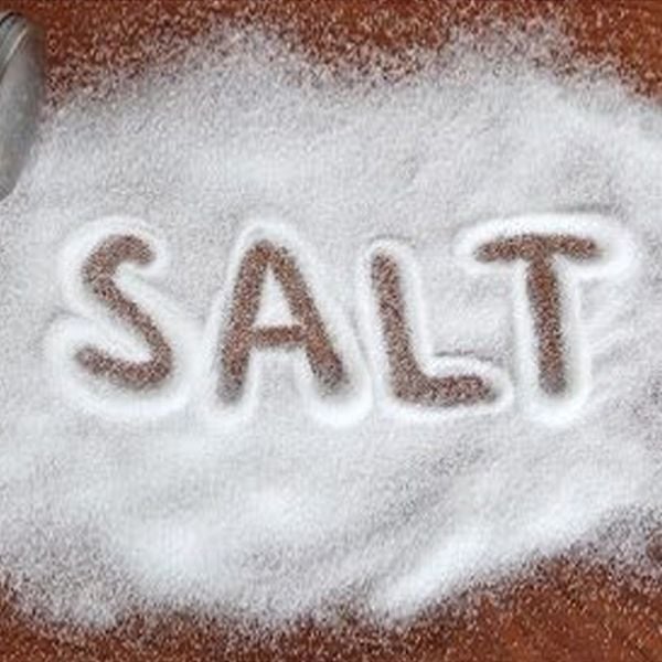 Vinachao có sử dụng gia vị không ?