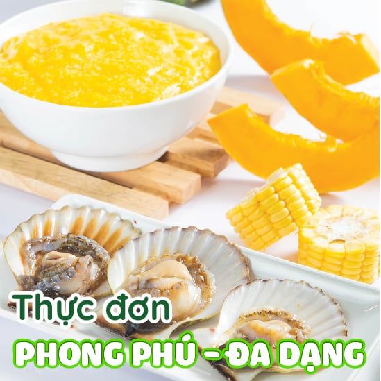 Khám Phá 5 Loại Cháo dinh dưỡng Của Vina Cháo Cho Bé Tăng Cân, Tăng Chiều Cao