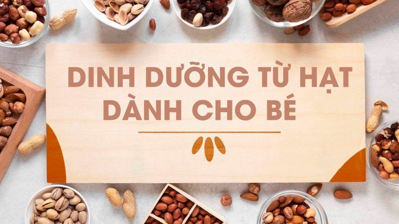 Gợi ý những loại hạt dinh dưỡng cho bé giúp bé phát triển khoẻ mạnh