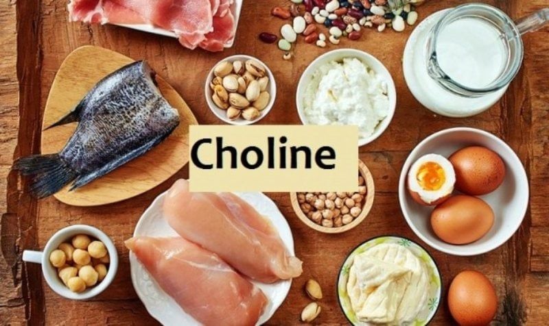 Những thực phẩm giàu choline - Lợi ích và lưu ý khi sử dụng những thực phẩm này cho bé
