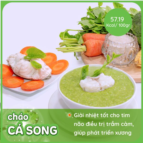 Cháo cá song