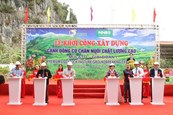 Ấn nút khởi động chương trình trồng cỏ Mulato II tại Xuân Nha, Vân Hồ, Sơn La.