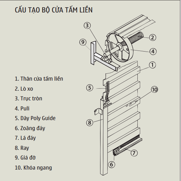 cau-tao-cua-cuon-co