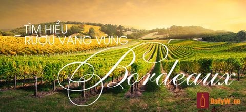 Tìm hiểu rượu vang vùng Bordeaux