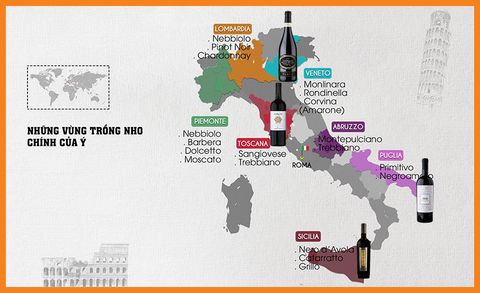 RƯỢU VANG Ý VÀ NHỮNG KIẾN THỨC CƠ BẢN NHẤT