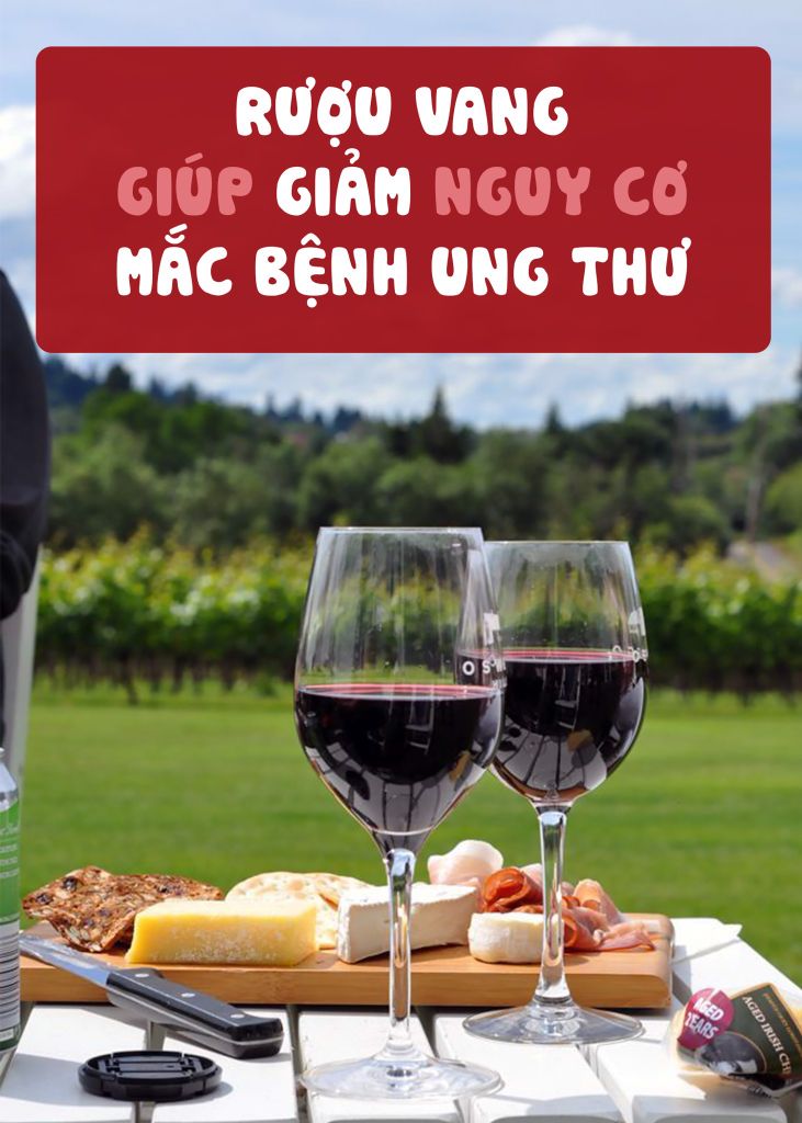 RƯỢU VANG GIÚP GIẢM NGUY CƠ MẮC BỆNH UNG THƯ