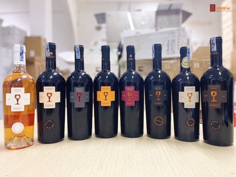 BIỂU TƯỢNG CHÉN THÁNH CỦA SCHOLA SARMENTI & NHỮNG ĐIỀU CHƯA KỂ