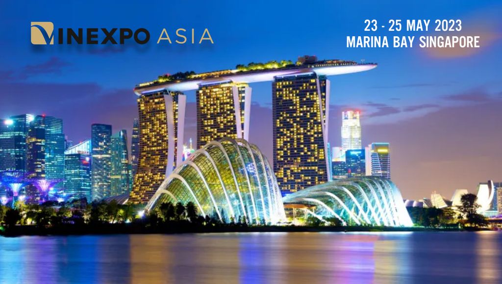 Sự kiện Vin Expo Châu Á 2023 - Tại Singapore