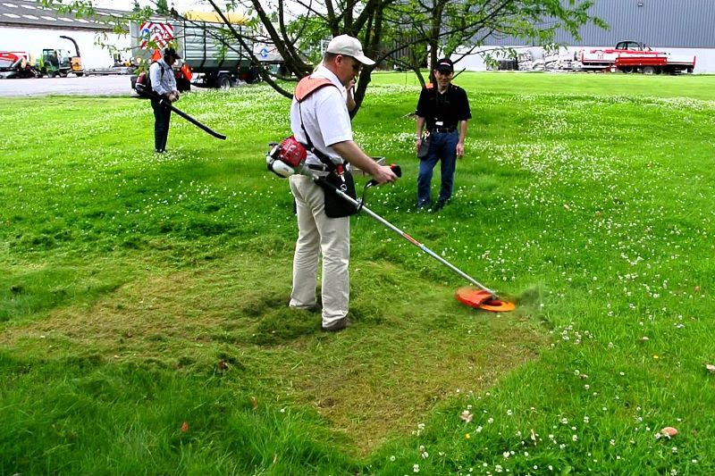 Những lỗi thường gặp khi sử dụng máy cắt cỏ và cách khắc phục nhanh