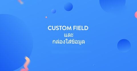 Custom Field และกล่องใส่ข้อมูล