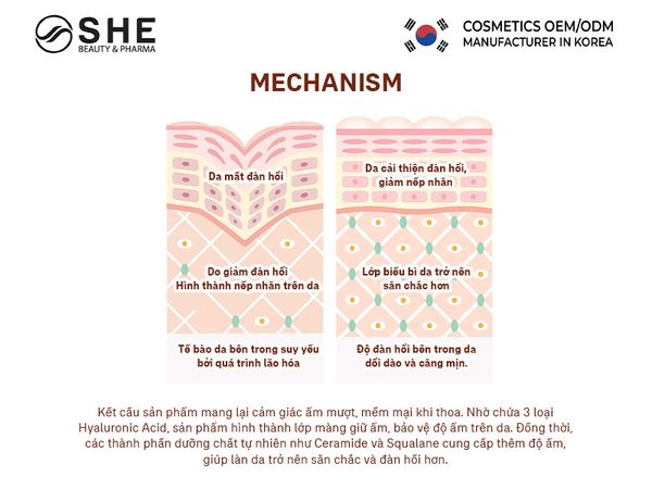 gia công kem dưỡng da 2