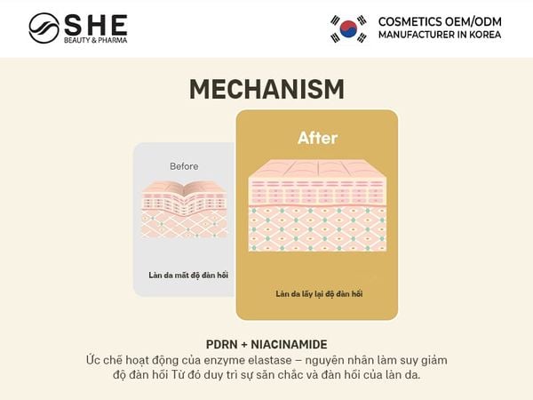 sản xuất ampoule 4