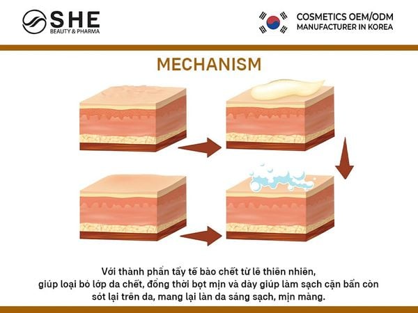 gia công gel tẩy tế bào chết 3