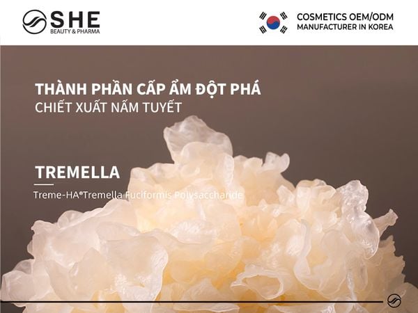 chiết xuất nấm tuyết