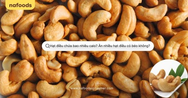 Hạt Điều Chứa Bao Nhiêu Calo? Ăn Nhiều Hạt Điều Có Béo Không?