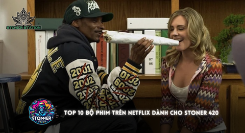 TOP 10 bộ phim trên Netflix dành cho stoner 420