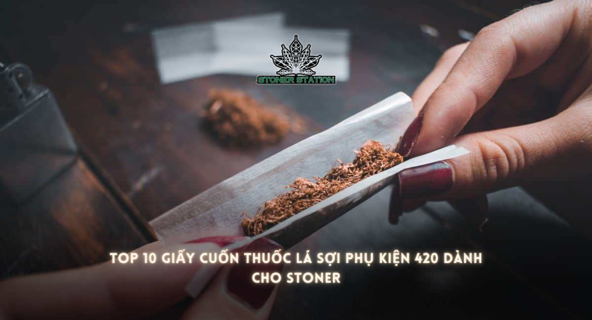 TOP 10 giấy cuốn thuốc lá sợi phụ kiện 420 dành cho Stoner