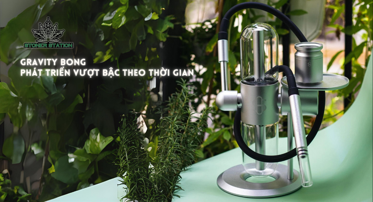 Gravity Bong phát triển vượt bậc theo thời gian