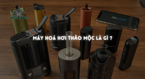 Máy hoá hơi thảo mộc là gì ?