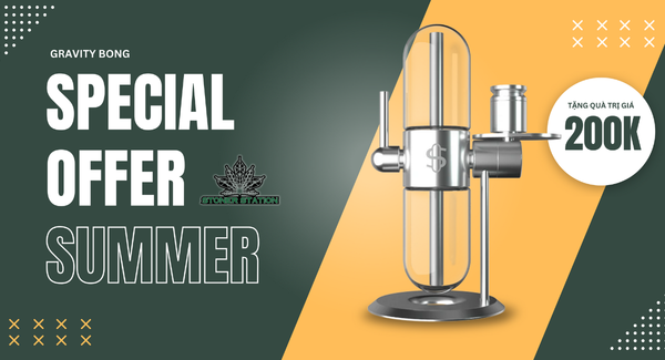 Những thương hiệu sản xuất Gravity bong chất lượng cho Stoner