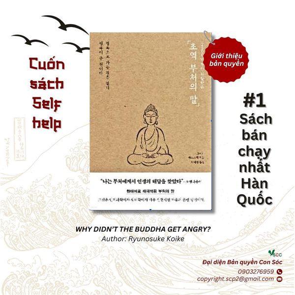 giới thiệu bản quyền