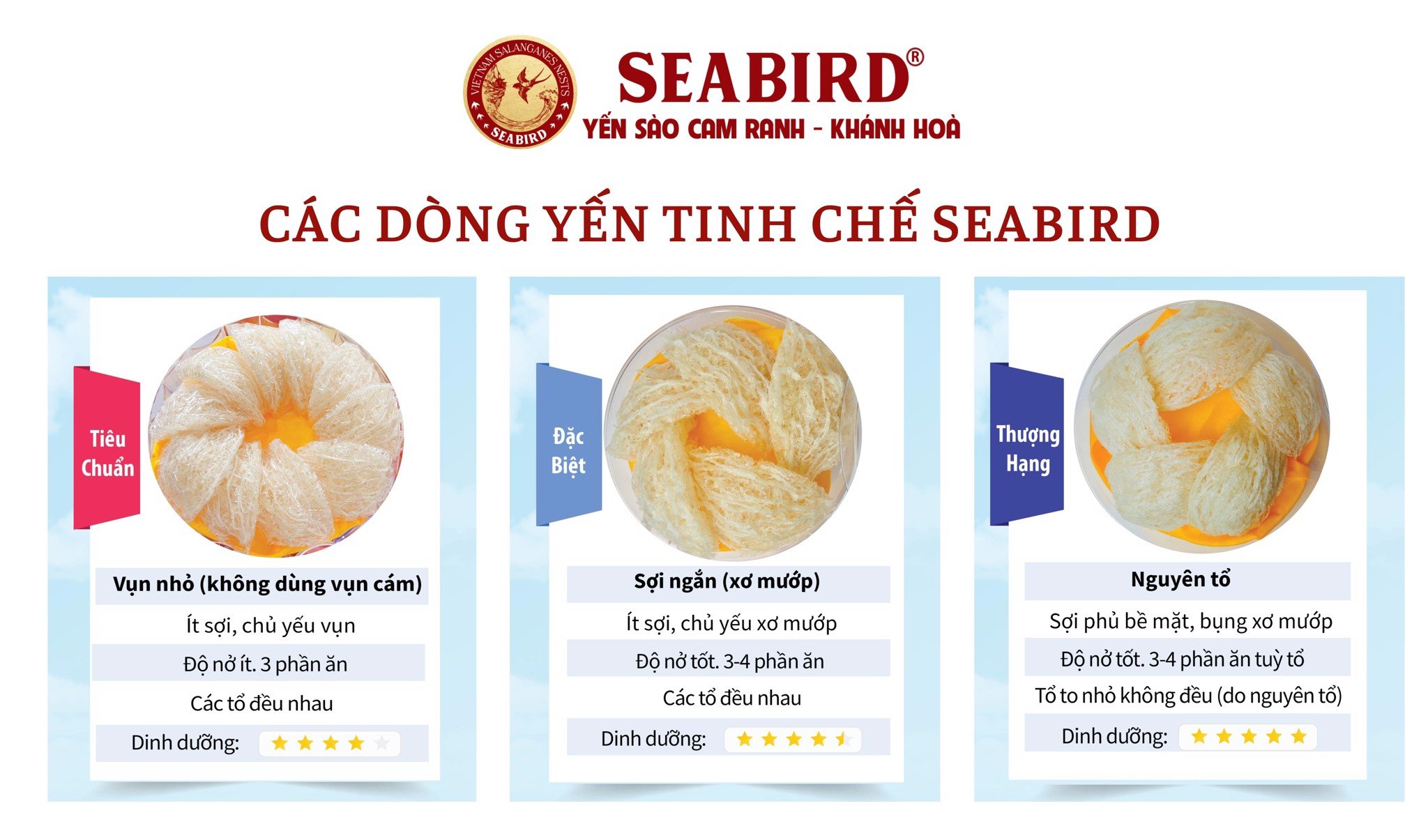 Tổ Yến Tinh Chế Seabird 100 Gram tiêu chuẩn