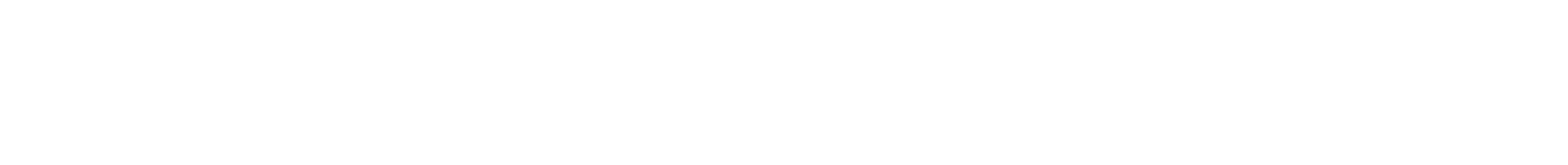 ICONDENIM