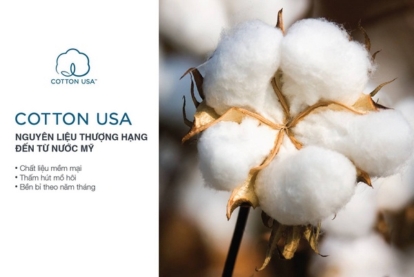Bạn biết gì về bông USA (bông Mỹ)