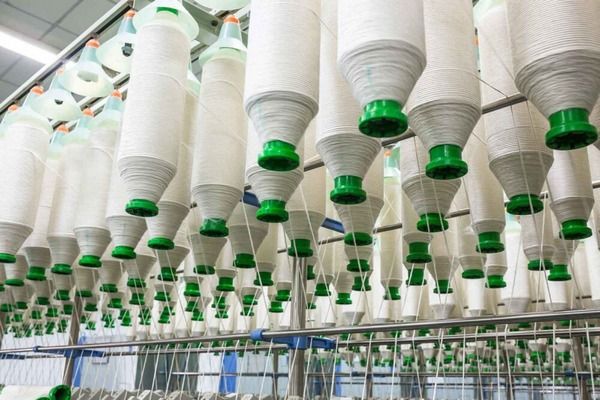 Bạn biết gì về bông USA (bông Mỹ)