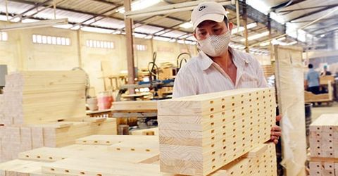 Báo cáo thị trường ngành gỗ xuất khẩu và nhập khẩu tại Việt Nam 2020