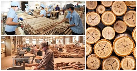 Top quốc gia xuất khẩu gỗ nội thất lớn nhất thế giới đầu năm 2020