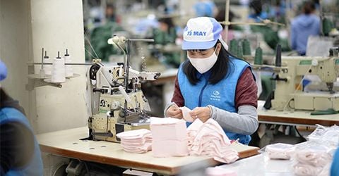 Báo cáo tổng quan thị trường ngành vải dệt may Việt Nam 2019 - 2020