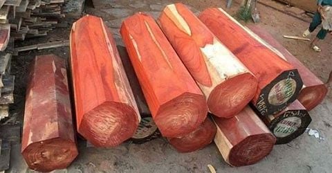 Mẹo nhận biết gỗ hương siêu đơn giản dành cho người không chuyên