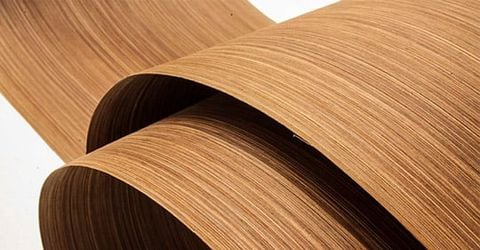 Veneer là gì? Những ưu nhược điểm mà bạn nên biết