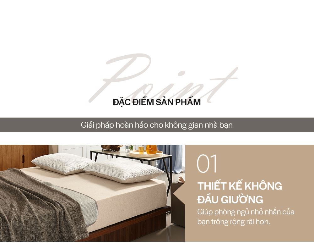 DB008 - GIƯỜNG GỖ HIỆN ĐẠI SIZE QUEEN - ĐẶC ĐIỂM SP