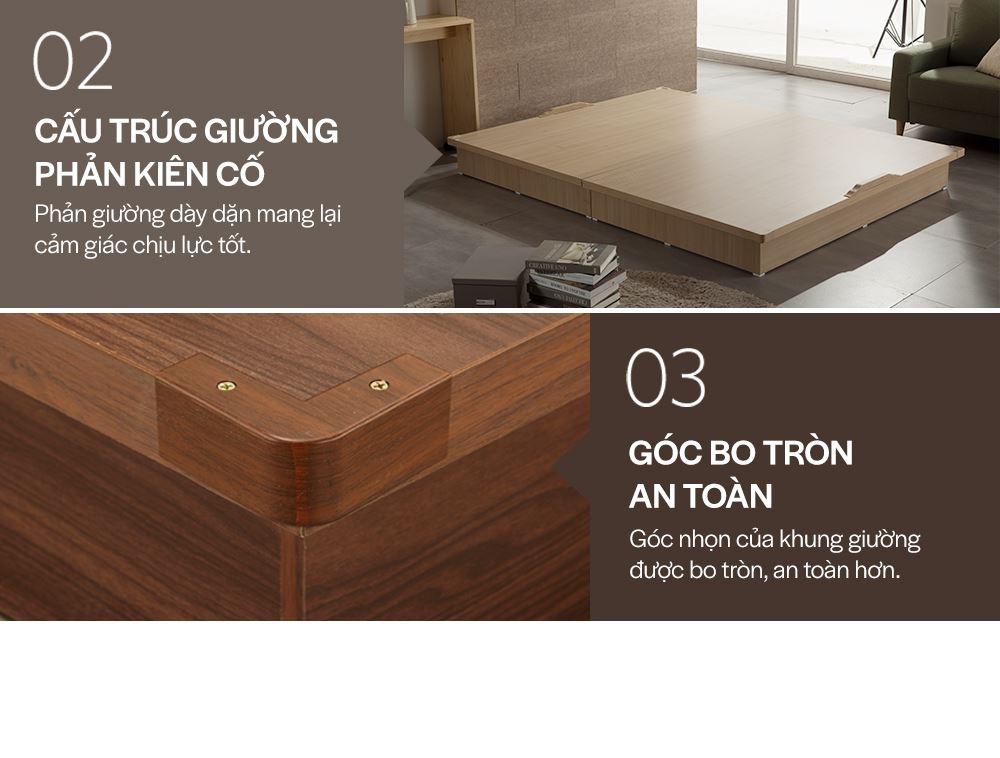 DB008 - GIƯỜNG GỖ HIỆN ĐẠI SIZE QUEEN - ĐẶC ĐIỂM SP