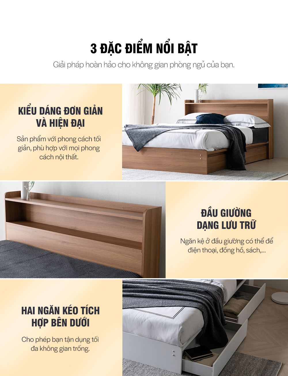 DB021 - GIƯỜNG NGỦ CAO CẤP SIZE QUEEN - ĐẶC ĐIỂM SP 