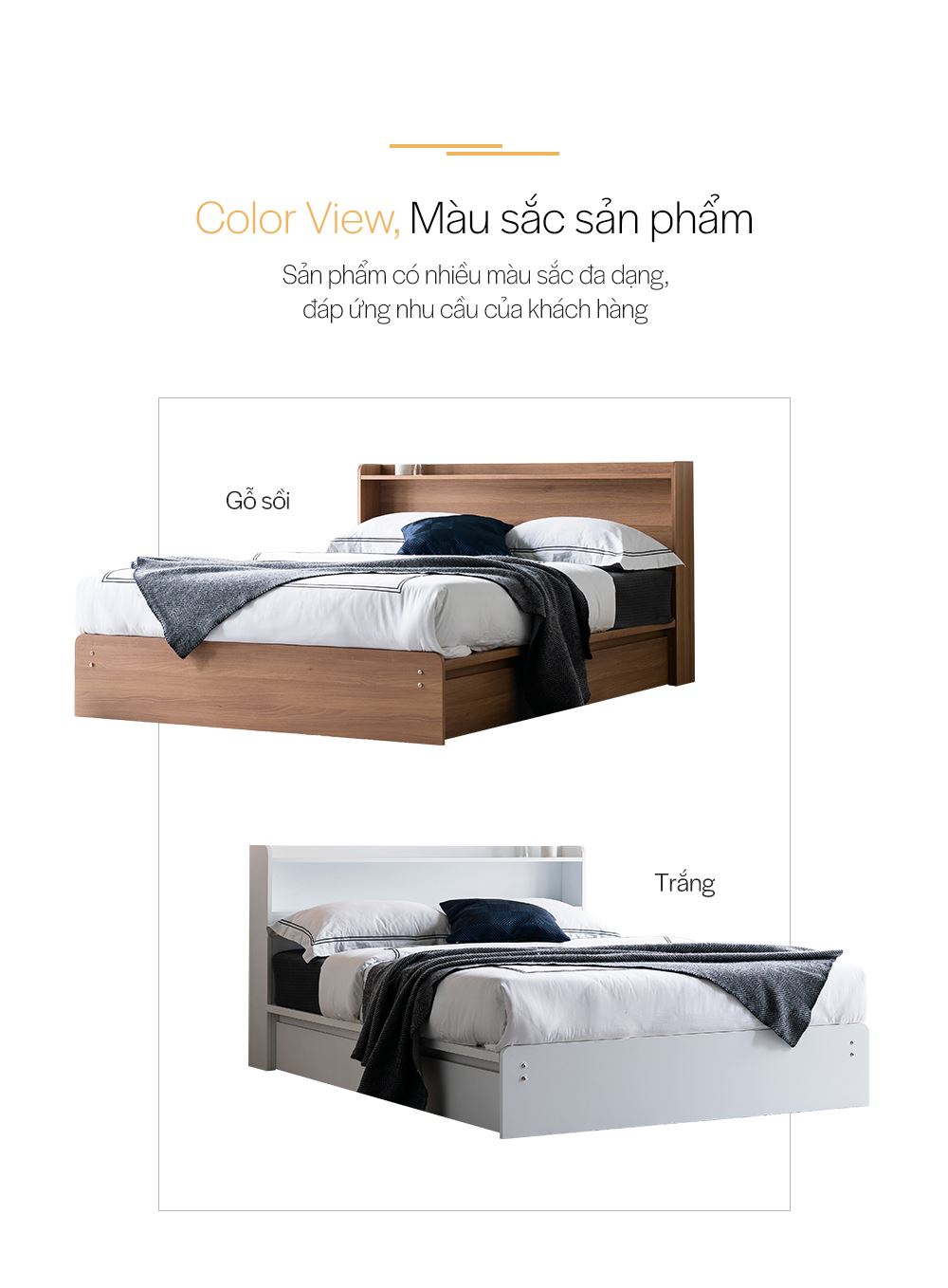 DB021 - GIƯỜNG NGỦ CAO CẤP SIZE QUEEN - MÀU SẮC SP 