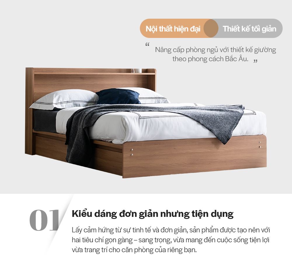 DB021 - GIƯỜNG NGỦ CAO CẤP SIZE QUEEN - CHI TIẾT 02