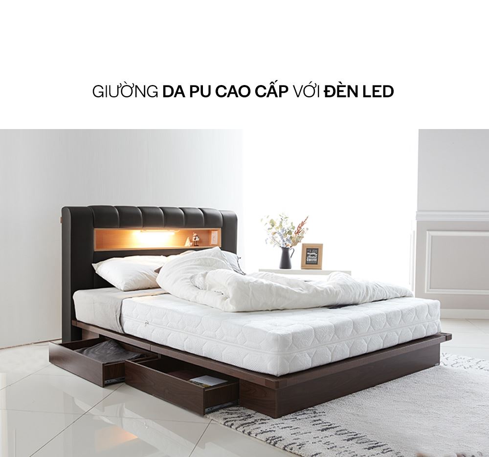 DB003 - GIƯỜNG LED DA PU SIZE QUEEN CÓ NGĂN KÉO - THÔNG TIN SP 