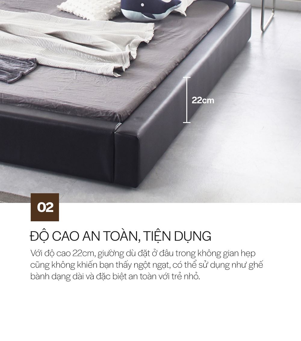 DS101 - GIƯỜNG PHẢN DA PU SIZE QUEEN_CHI TIẾT