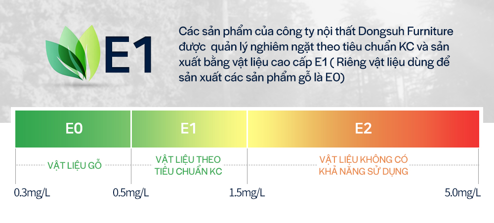 TIÊU CHUẨN E1