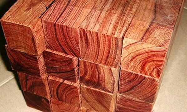 phân biệt gỗ hương và gỗ xà cừ