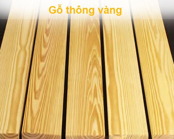 gỗ thông vàng