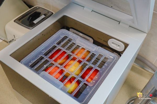 Các loại máy rửa thực phẩm Hurom UC-B01FWH