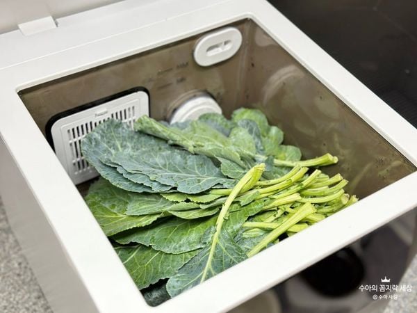 máy rửa rau thực phẩm Hurom UC B01 FWH