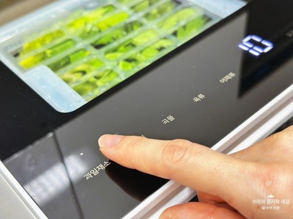 máy rửa thực phẩm Hurom Ultrasonic Cleaner 10L