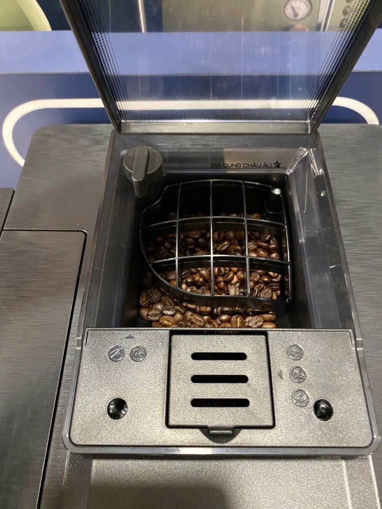 Hình thực tế ngăn chứa hạt cà phê của máy pha cafe espresso gia đình dr coffee c12 fully automatic coffee machine